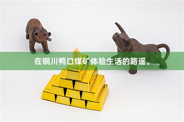 在铜川鸭口煤矿体验生活的路遥。