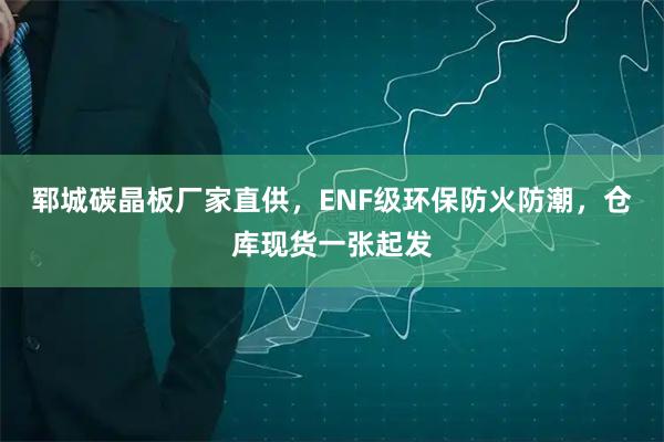 郓城碳晶板厂家直供，ENF级环保防火防潮，仓库现货一张起发